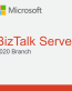 Biztalk Server 2020 branch