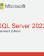 SQL Server 2022 Standard Edition