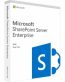 SharePoint-Enterprise-2019-User-CAL.jpeg