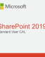 Sharepoint 2019 Standard User CAL