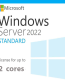 Windows-Server-2022-Standard-–-2-Core-License-Pack.png
